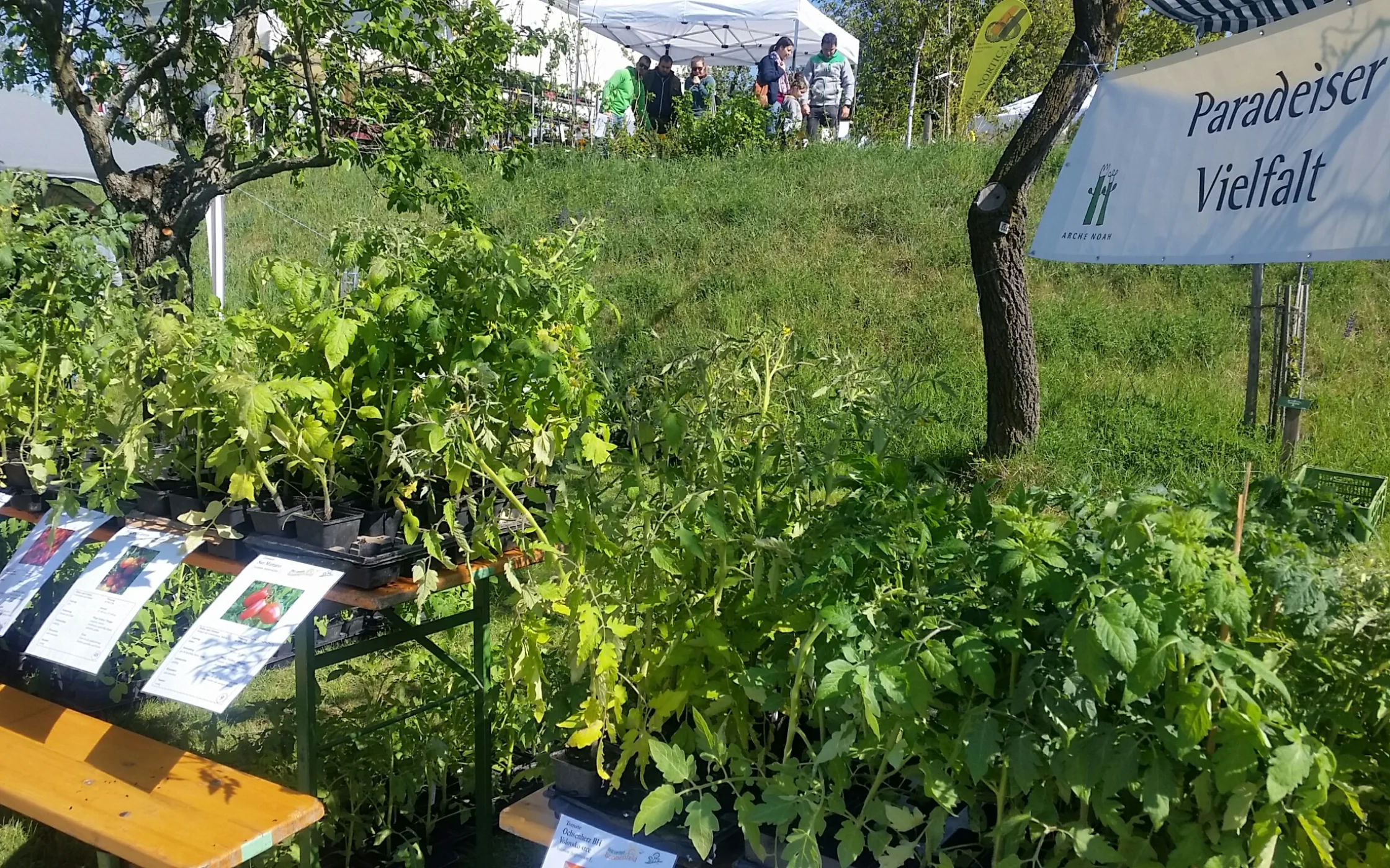 20190501_100514 - Kopiert_resized.jpg